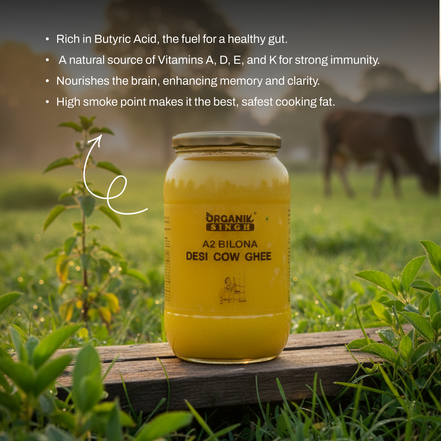 Monkey de Luffy Premium