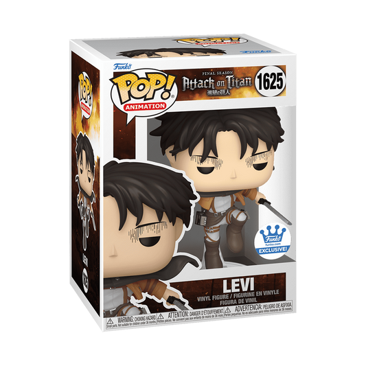Levi with Swords #1625